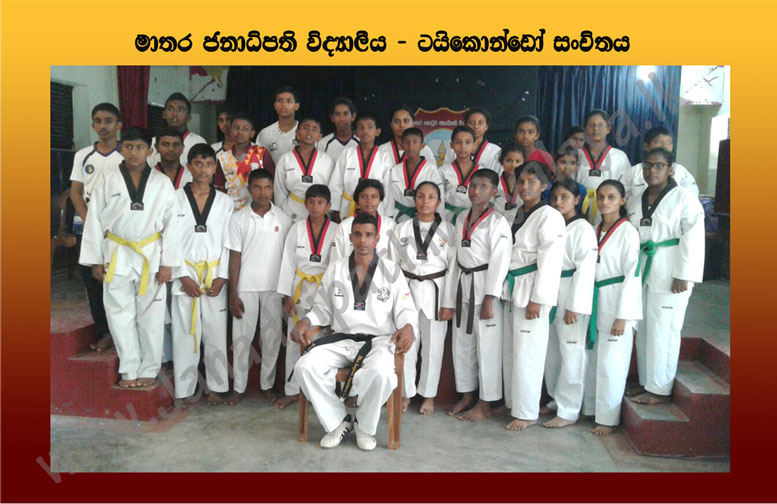 Taekwondo Association